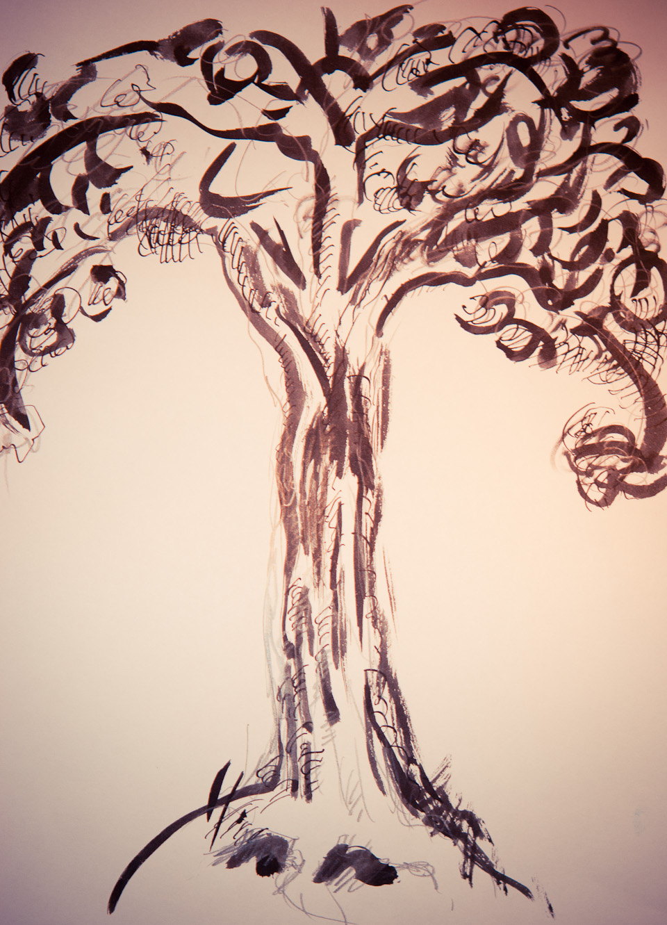 oak tree