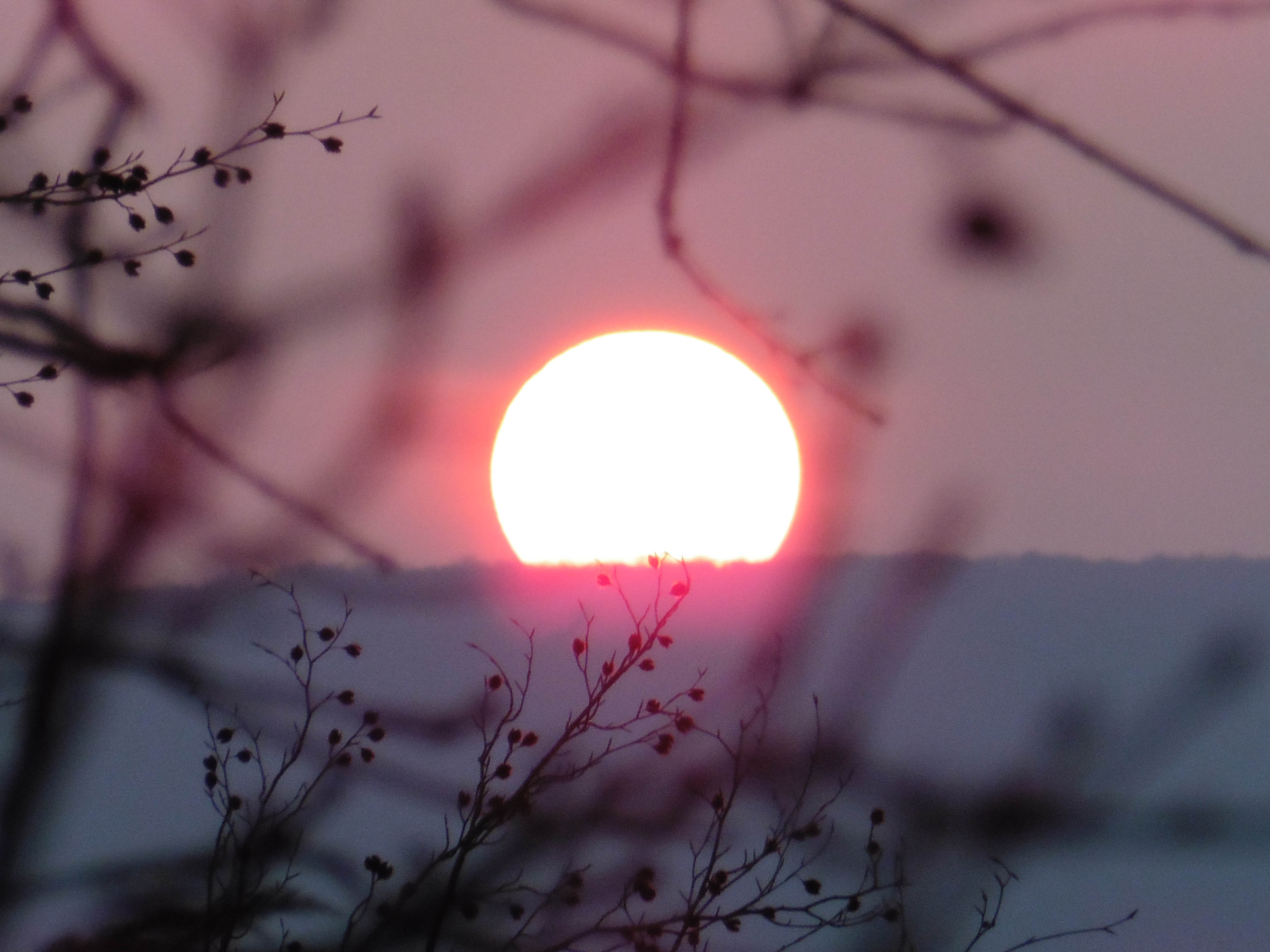 sunset over westphalian upland